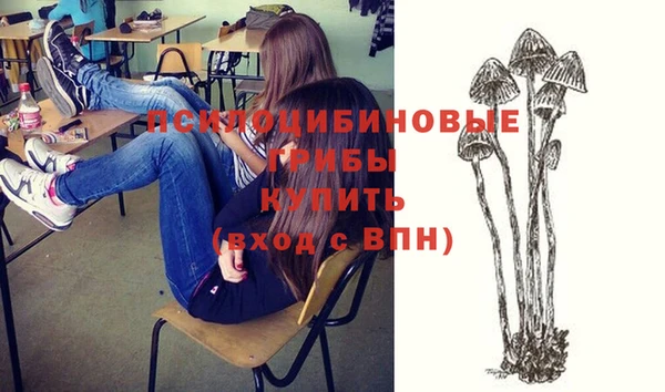 стафф Алексин