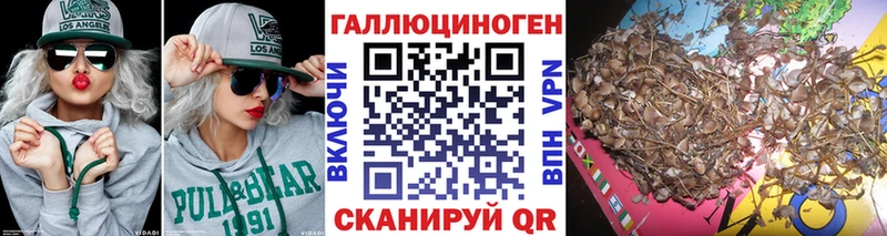 Псилоцибиновые грибы Cubensis  наркошоп  kraken онион  Льгов 